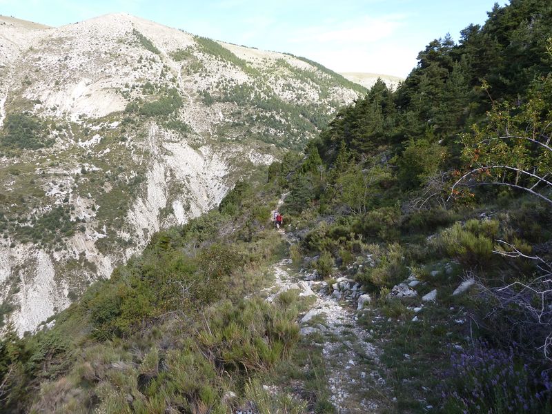 cheinet_2011_071.jpg