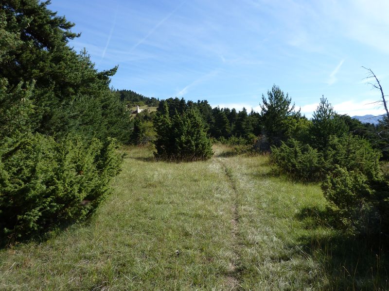 cheinet_2011_077.jpg