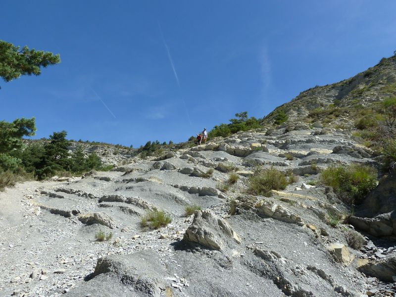 cheinet_2011_091.jpg