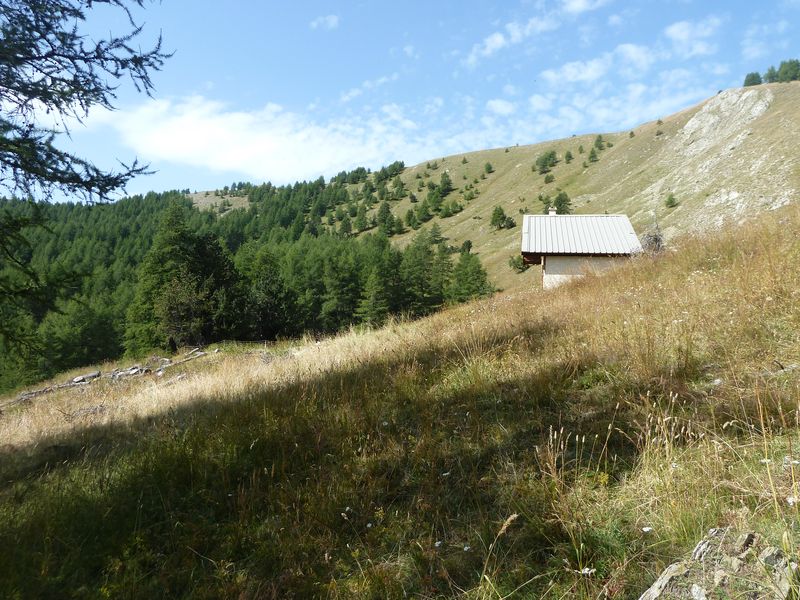 montagne_de_cheroueche_2011_078.jpg