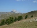 montagne_de_cheroueche_2011_056.jpg