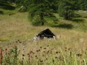 montagne_de_cheroueche_2011_090.jpg