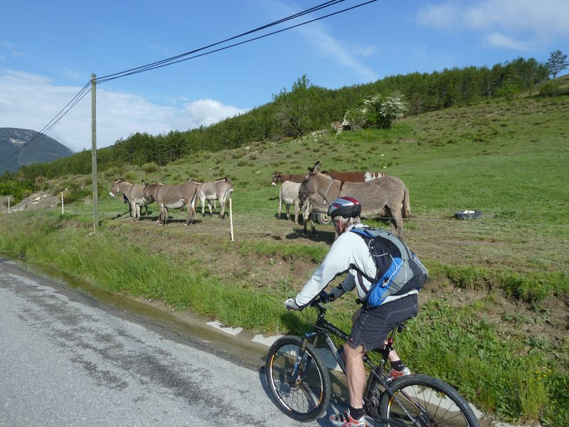cheval_blanc_mai_2012_008.jpg