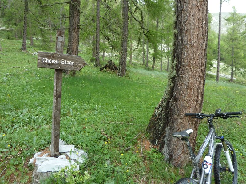 cheval_blanc_mai_2012_028.jpg