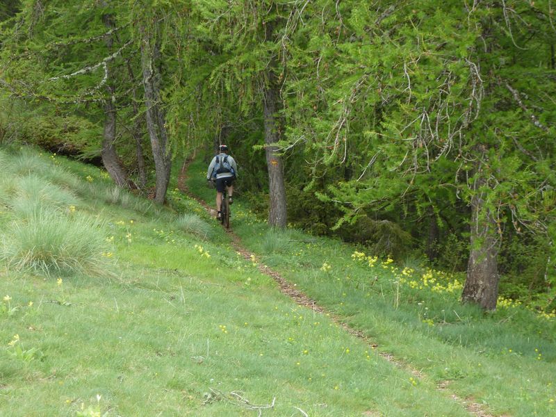 cheval_blanc_mai_2012_040.jpg