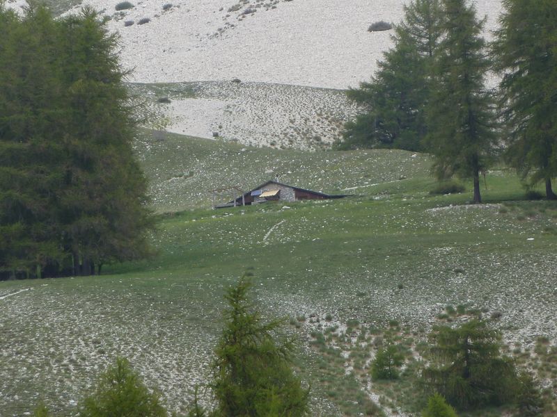 cheval_blanc_mai_2012_048.jpg