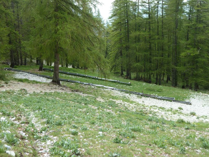 cheval_blanc_mai_2012_062.jpg