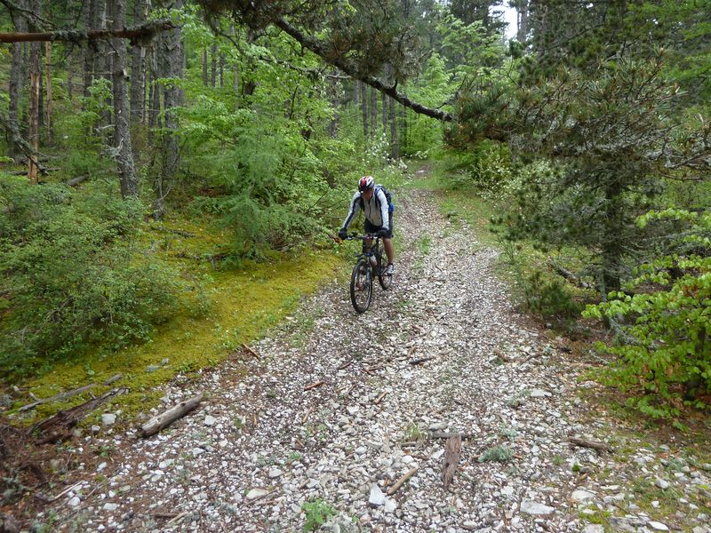 cheval_blanc_mai_2012_102.jpg