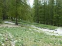 cheval_blanc_mai_2012_062.jpg
