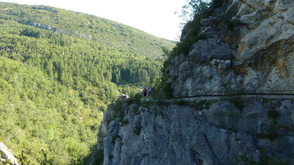chiran_2013_012.jpg