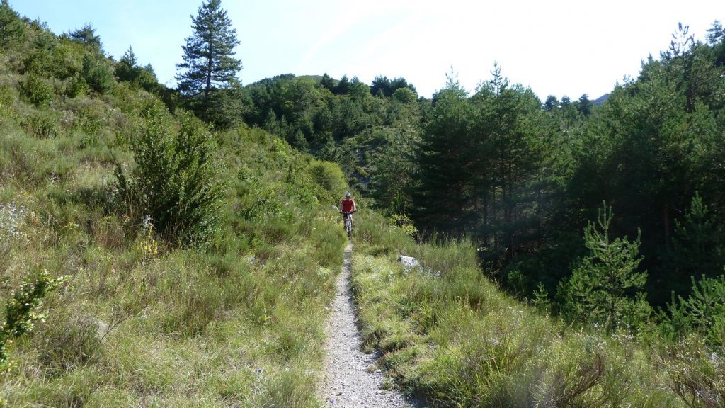 chiran_2013_044.jpg