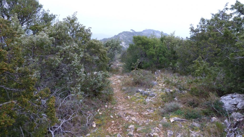 la_citadelle_mars_2016_007.JPG