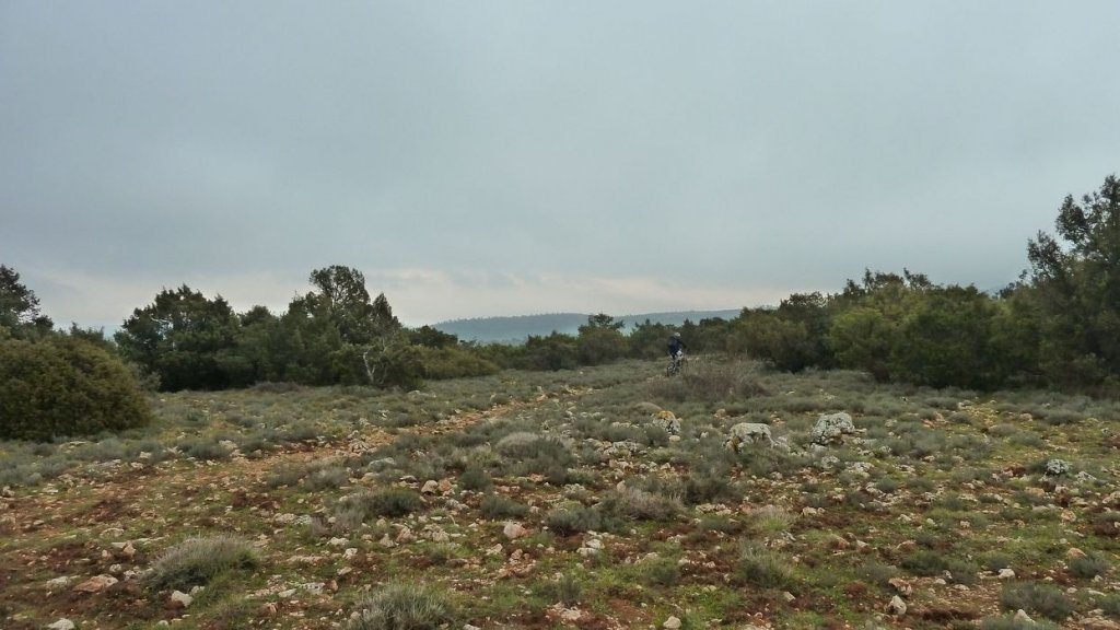 la_citadelle_mars_2016_034.JPG
