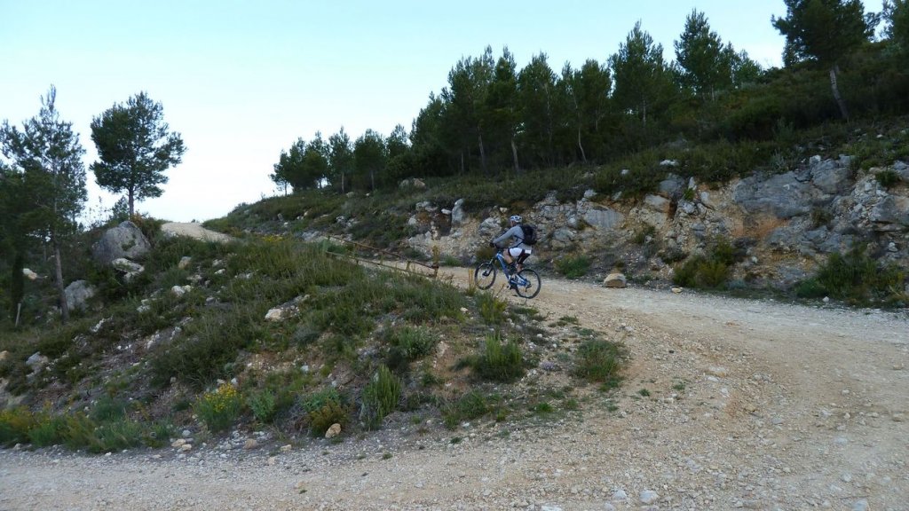 col_bertagne_avril_2015_032.jpg