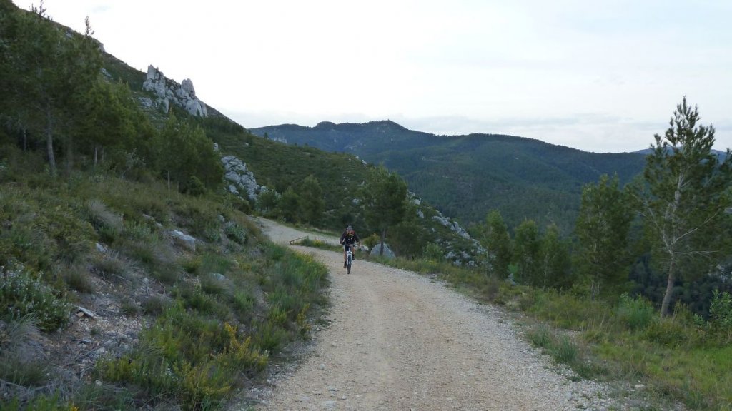 col_bertagne_avril_2015_040.jpg