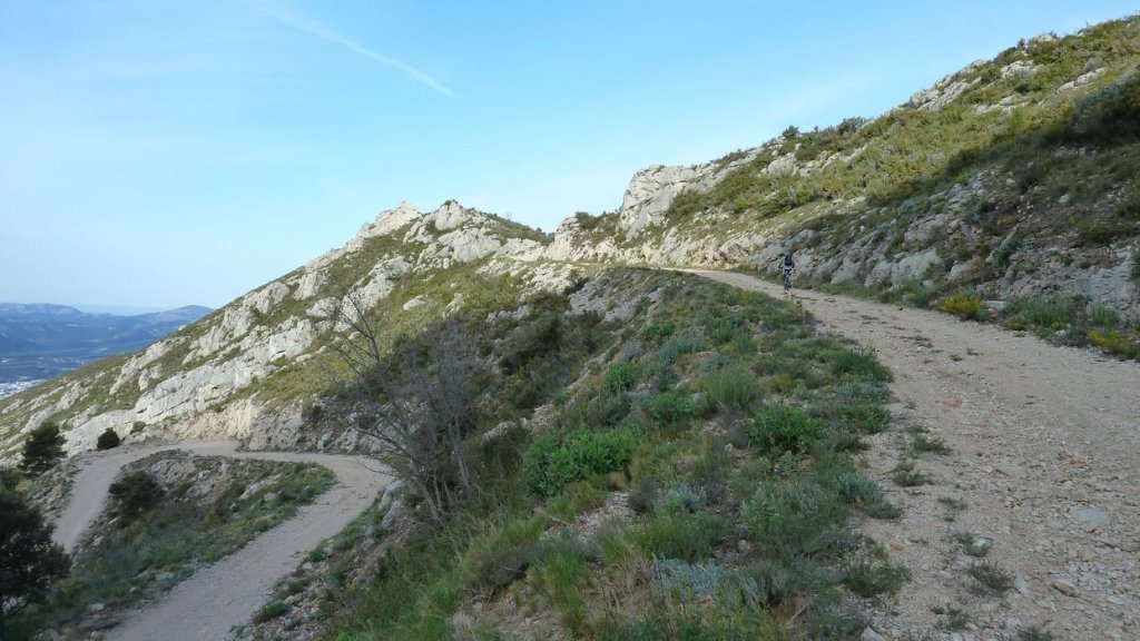 col_bertagne_avril_2015_172.jpg