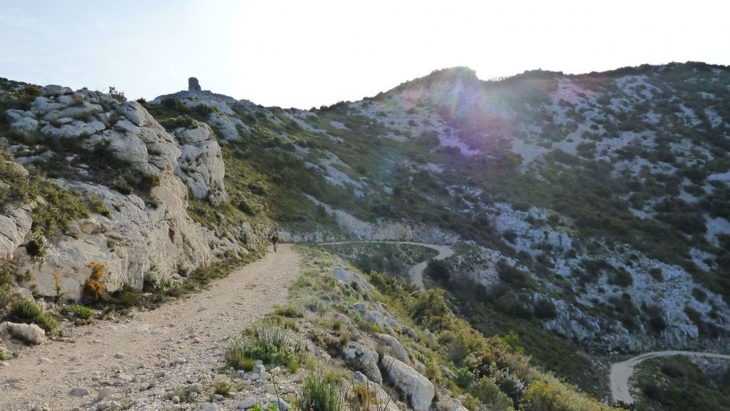 col_bertagne_avril_2015_176.jpg