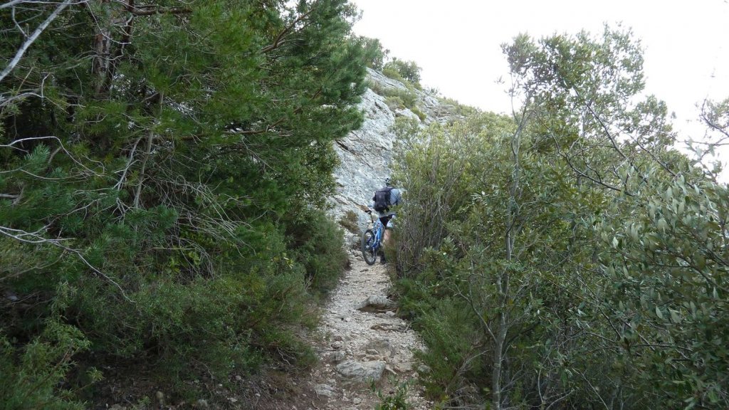 col_bertagne_avril_2015_316.jpg