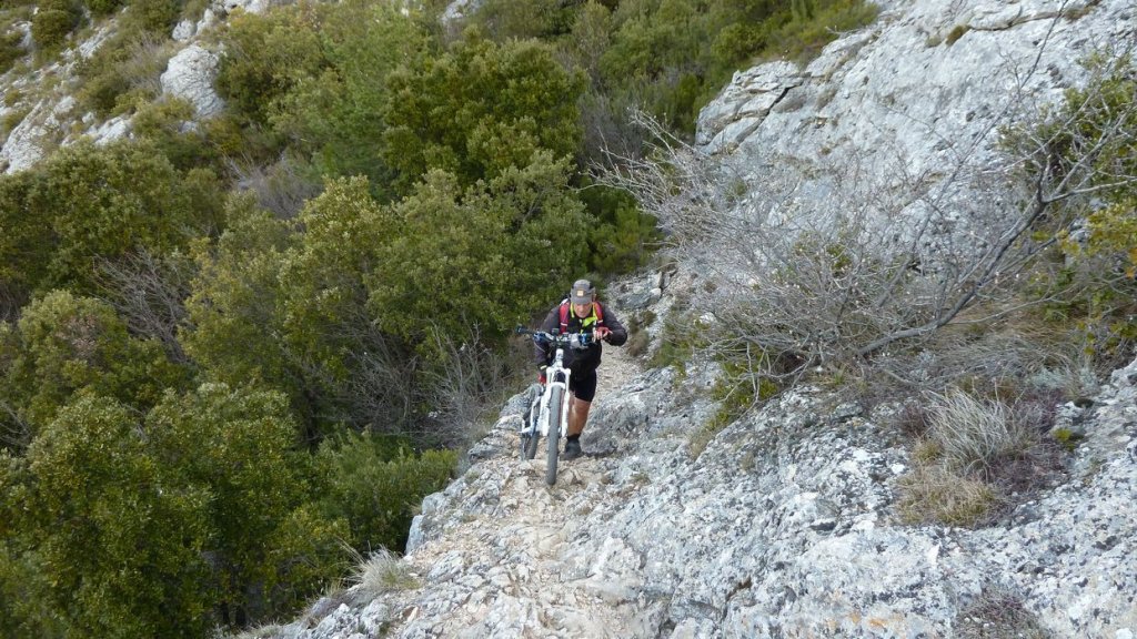 col_bertagne_avril_2015_320.jpg