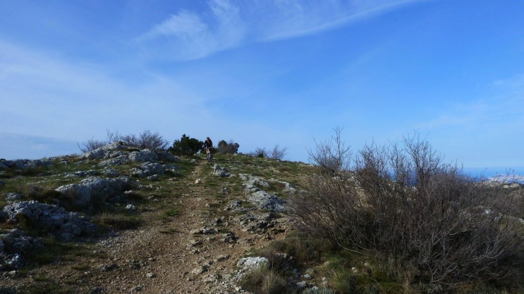 col_bertagne_avril_2015_408.jpg