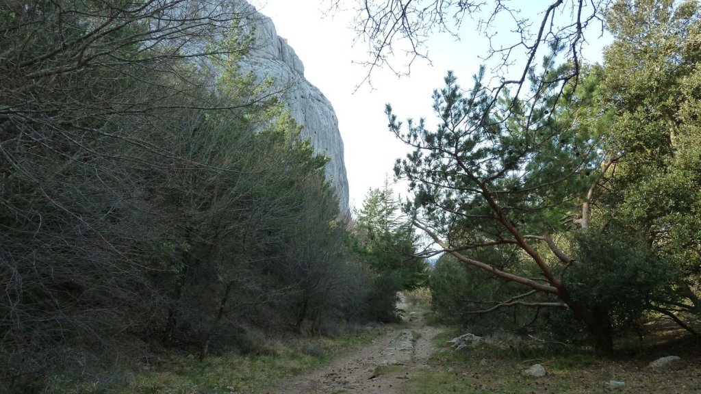 col_bertagne_avril_2015_456.jpg