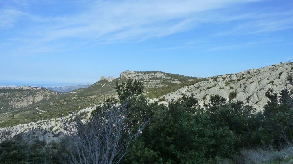col_bertagne_avril_2015_480.jpg