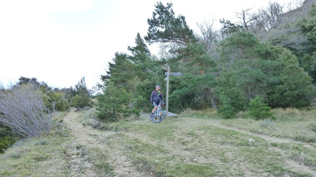 col_bertagne_avril_2015_488.jpg
