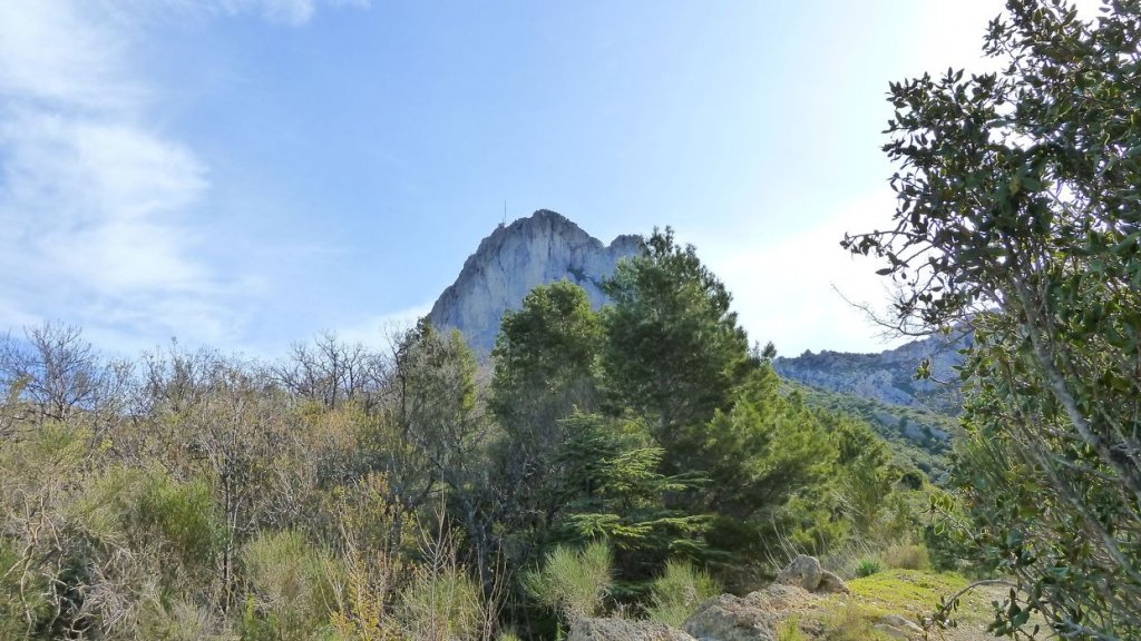 col_bertagne_avril_2015_548.jpg