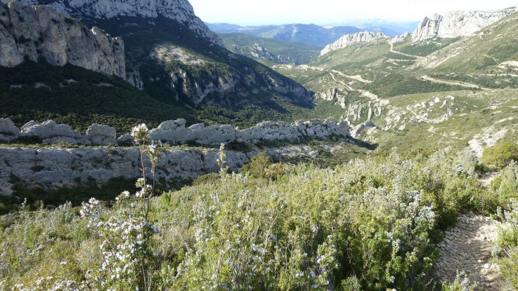 col_bertagne_avril_2015_588.jpg