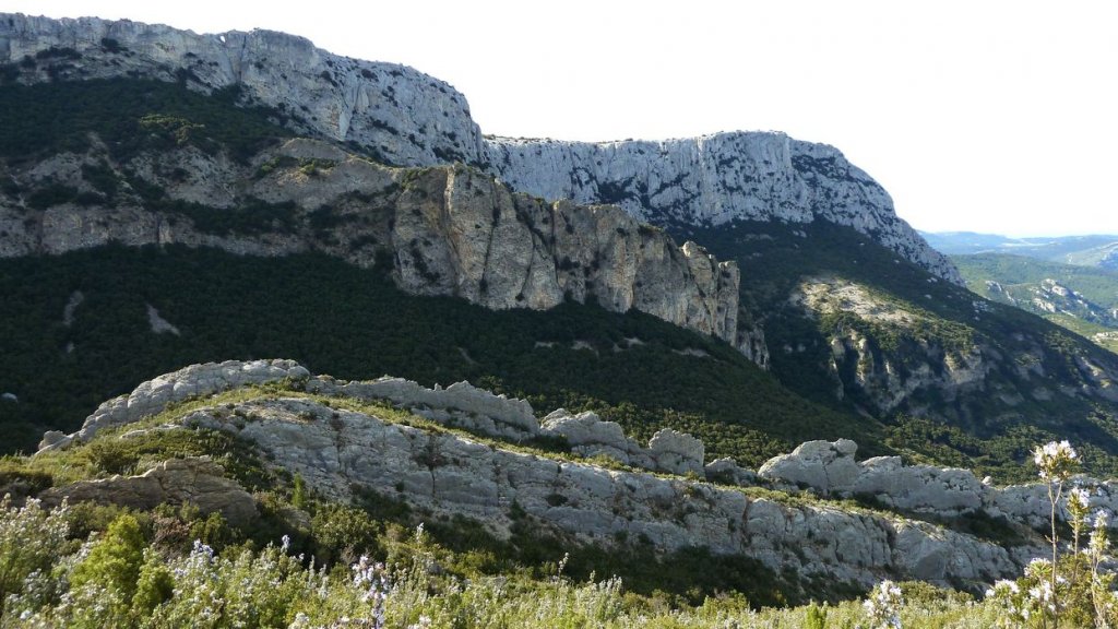 col_bertagne_avril_2015_592.jpg
