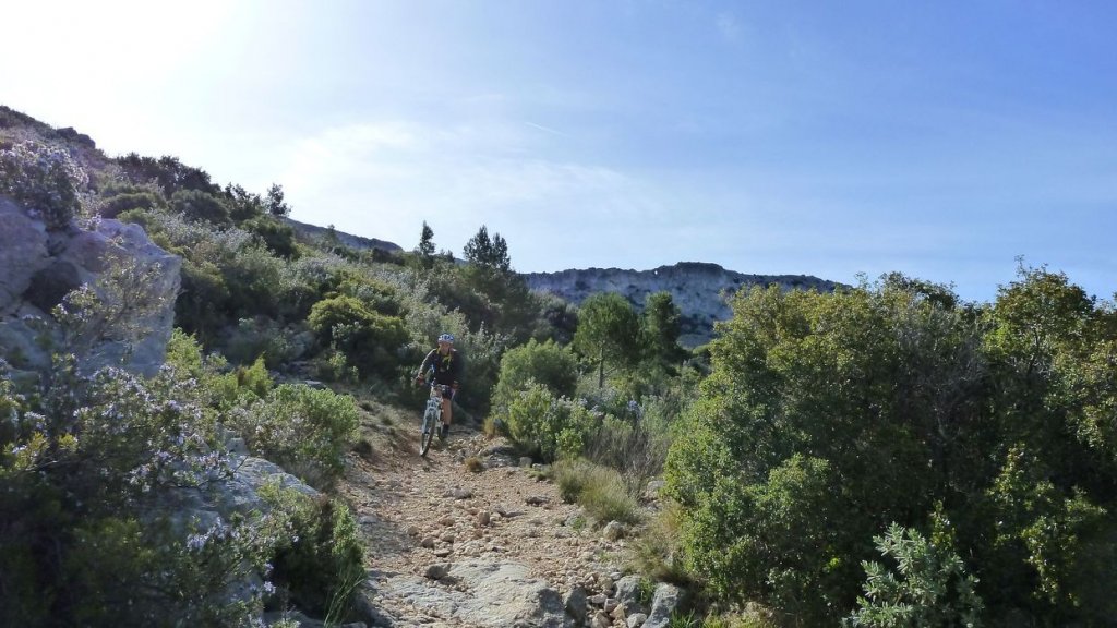 col_bertagne_avril_2015_596.jpg