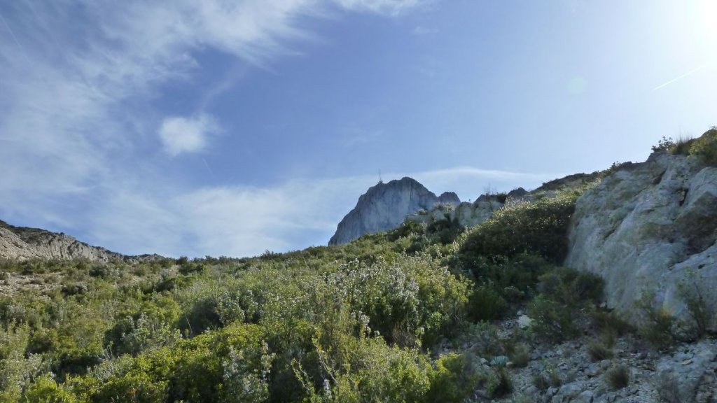 col_bertagne_avril_2015_600.jpg