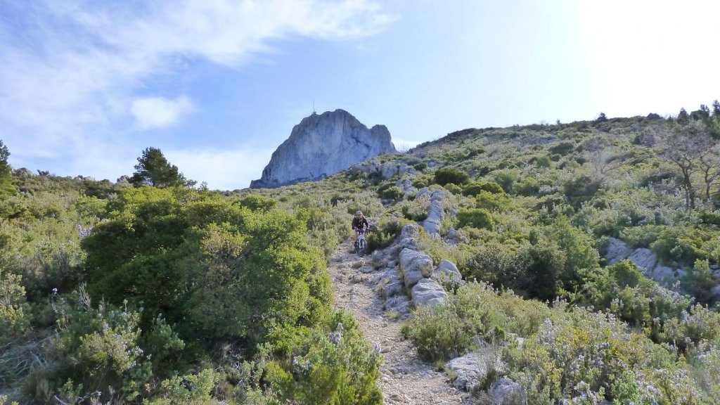 col_bertagne_avril_2015_608.jpg