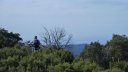 col_bertagne_avril_2015_352.jpg