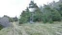 col_bertagne_avril_2015_488.jpg