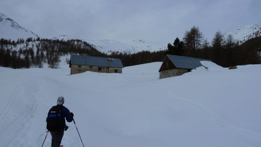 P1170001.JPG