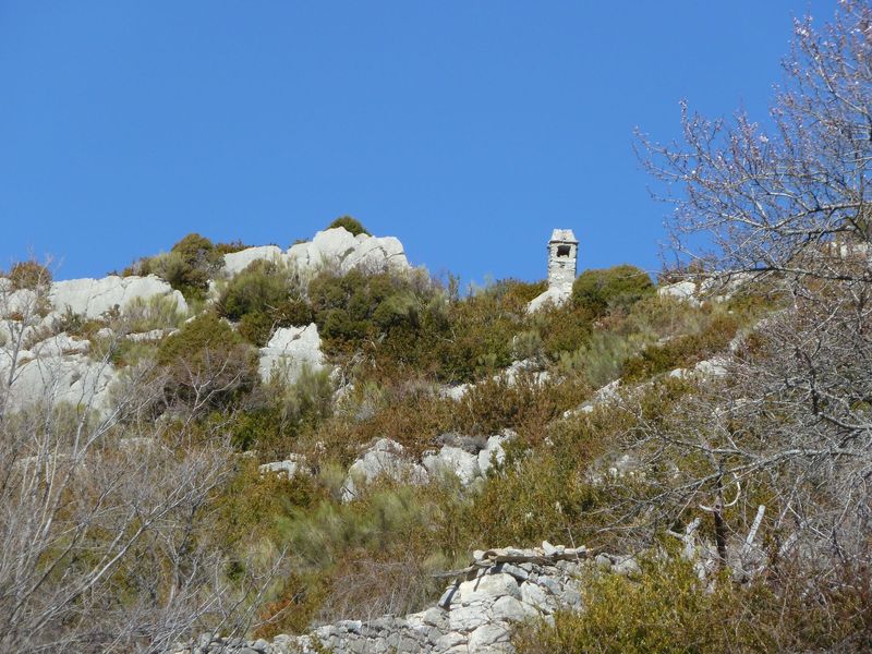 col_demandolx_mars_2012_025.jpg