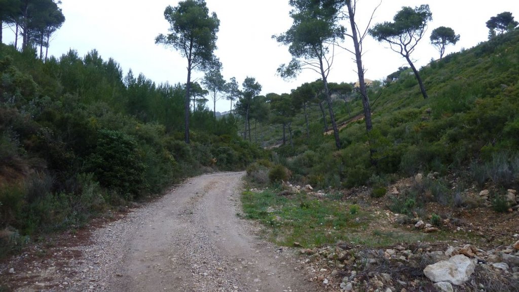 col_des_ouides_avril_2016_006.JPG