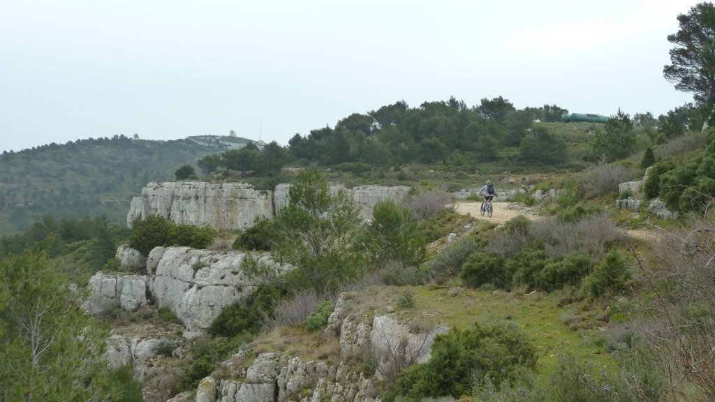 col_des_ouides_avril_2016_091.JPG