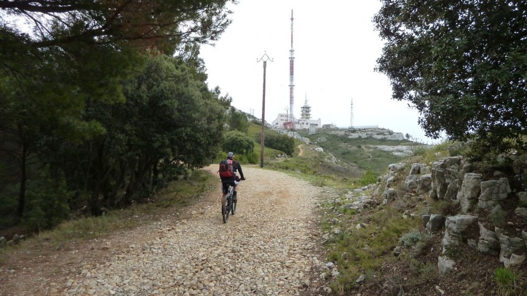 col_des_ouides_avril_2016_095.JPG