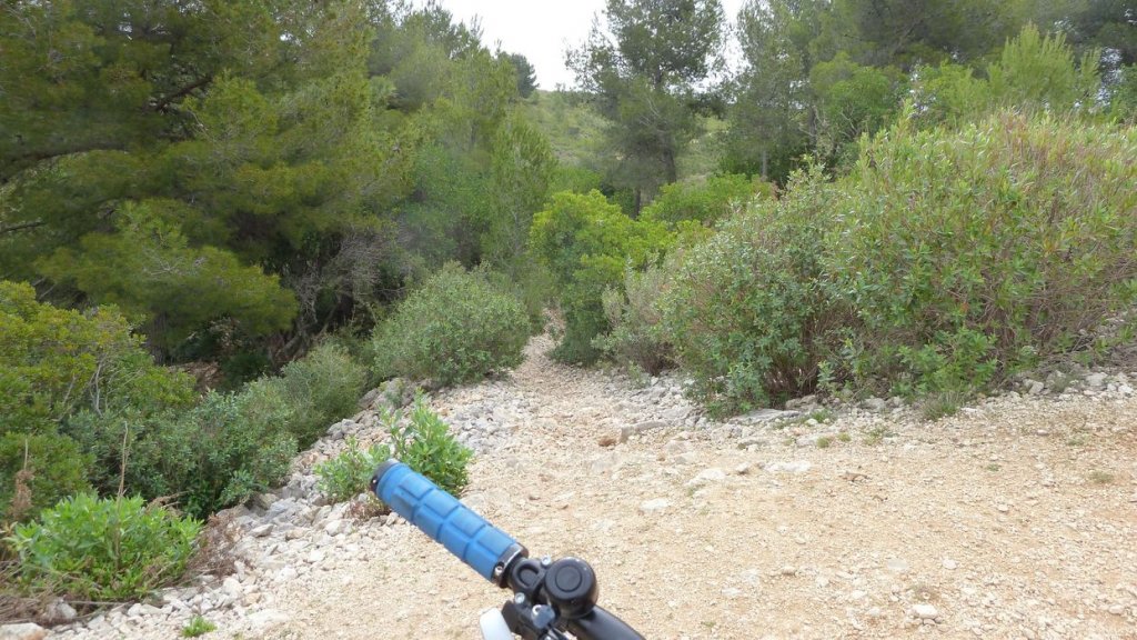 col_des_ouides_avril_2016_209.JPG