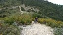 col_des_ouides_avril_2016_140.JPG