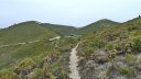 col_des_ouides_avril_2016_183.JPG