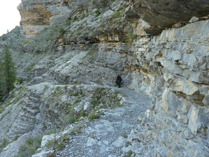 congerman_2011_021.jpg