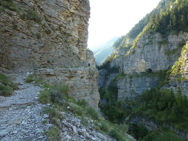 congerman_2011_031.jpg