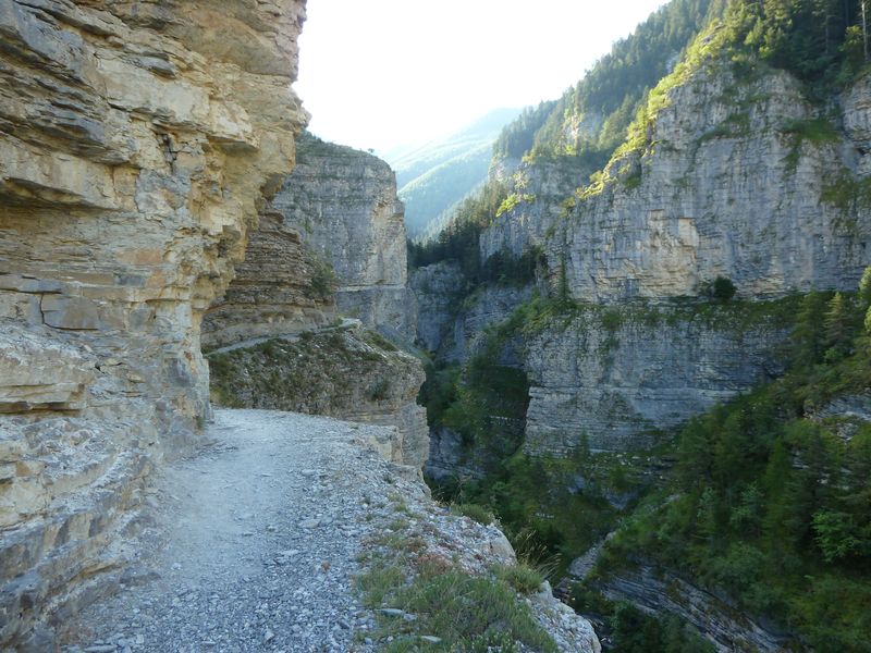 congerman_2011_033.jpg