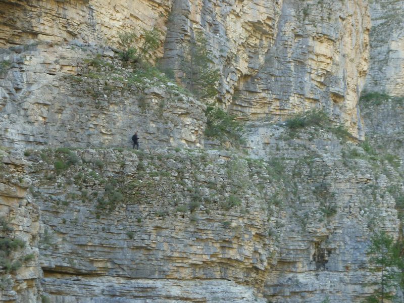 congerman_2011_039.jpg
