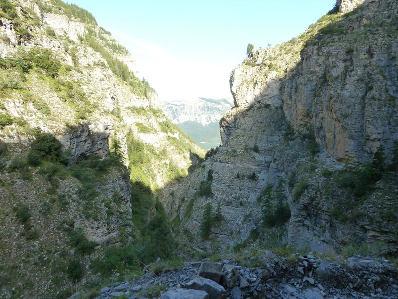 congerman_2011_053.jpg