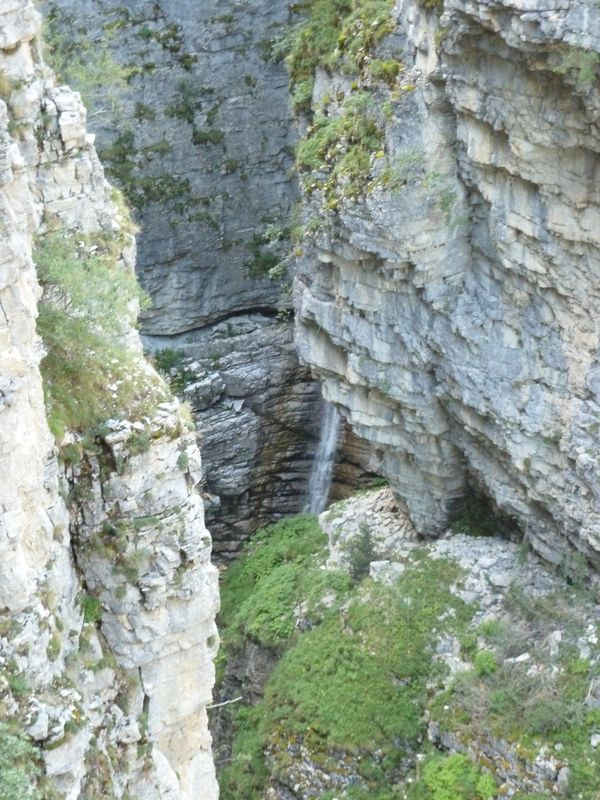 congerman_2011_059.jpg