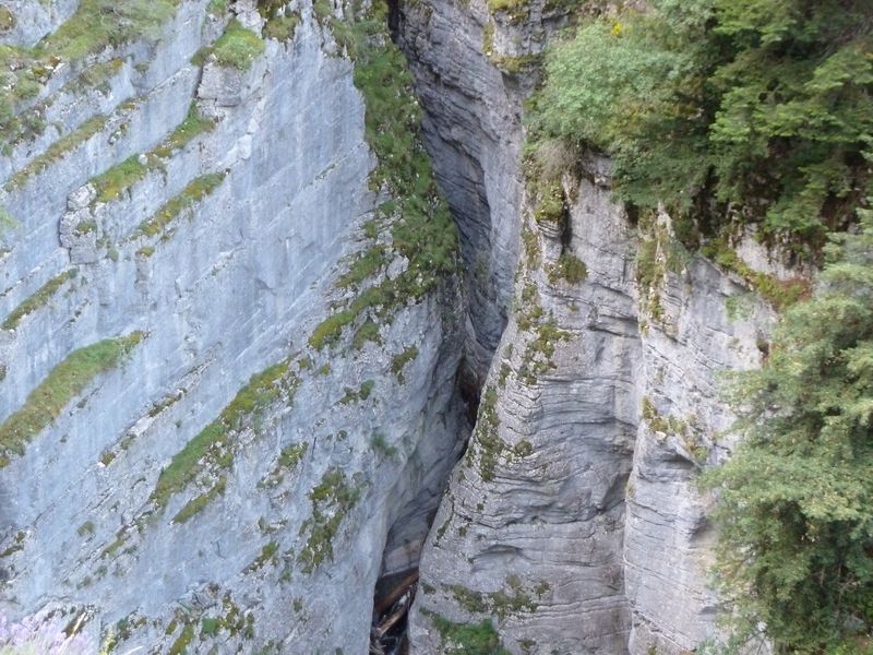 congerman_2011_069.jpg